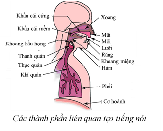 img-tin tức