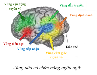 img-tin tức