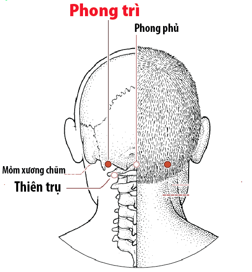 img-tin tức