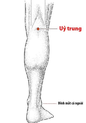 img-tin tức