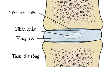 img-tin tức